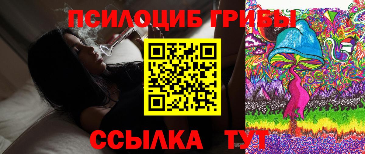 Псилоцибиновые грибы мицелий Кропоткин