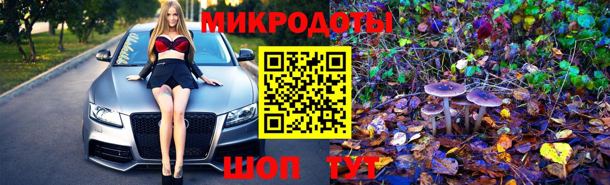 продажа наркотиков  Псилоцибиновые грибы мицелий  Вход с VPN  Кропоткин 